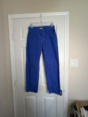 BDG Urban Outfitters Pegged Cowboy Corduroy Pants